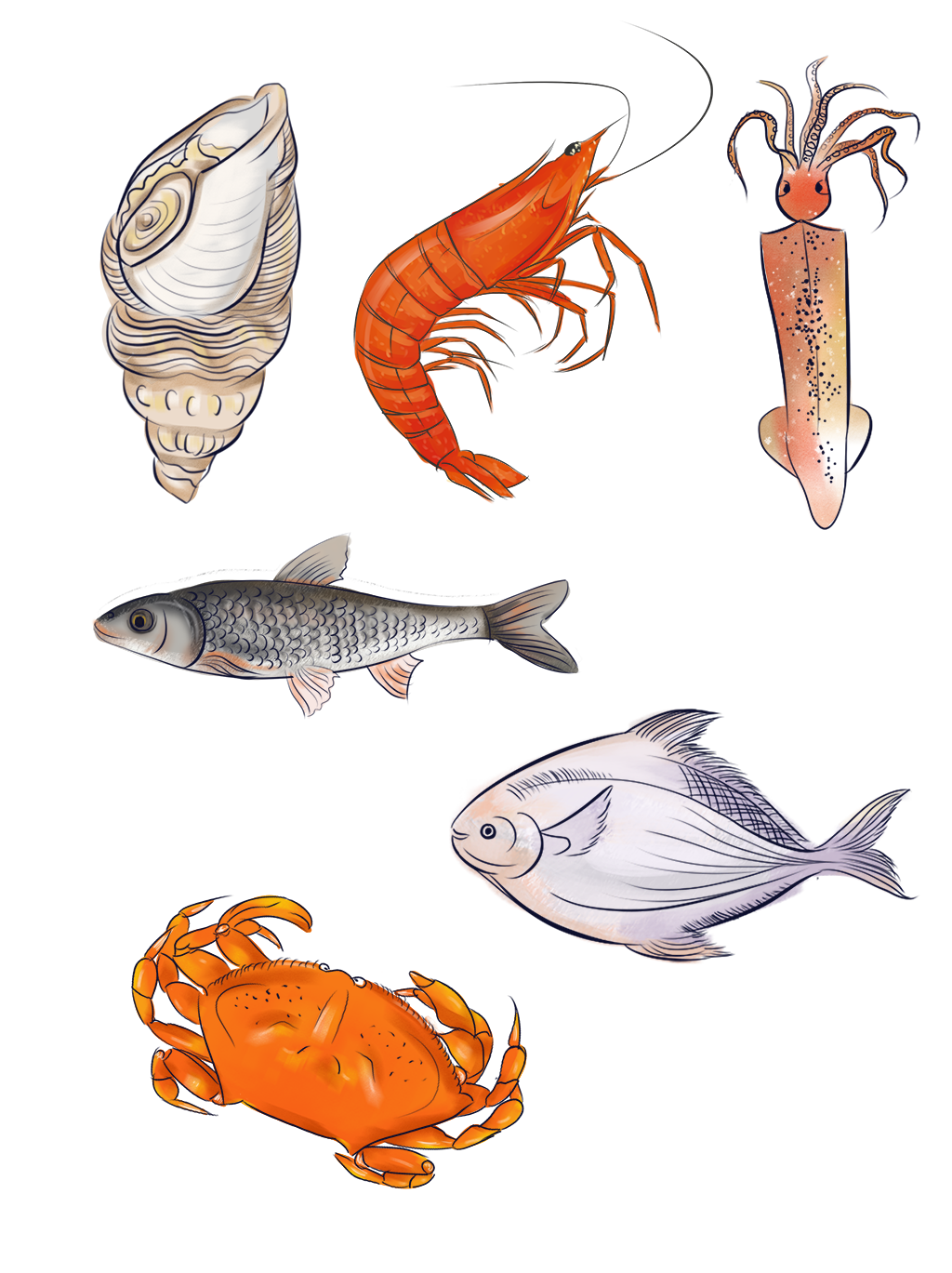 Makanan Ikan Laut